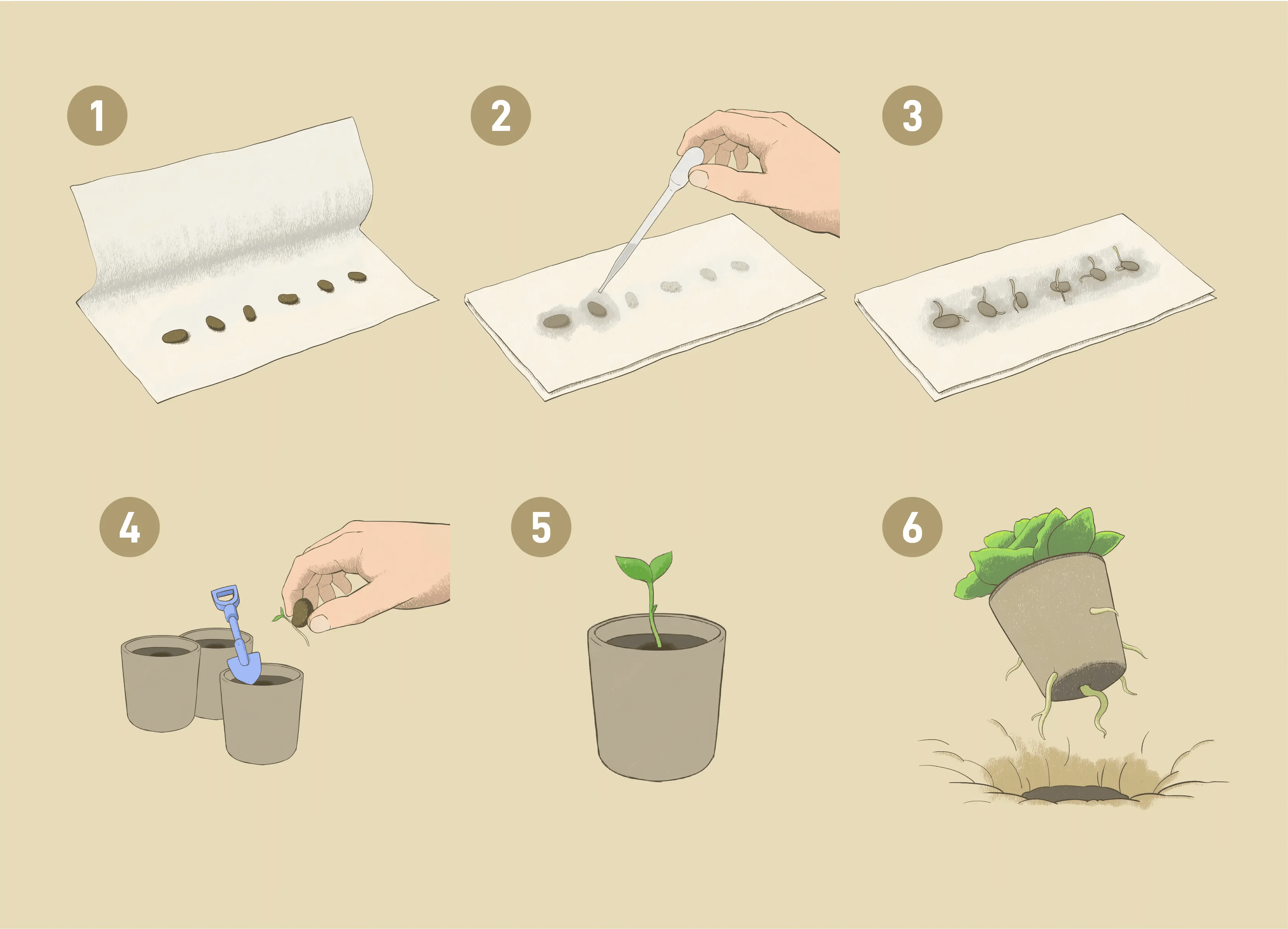 Small Greenhouse kit - 3